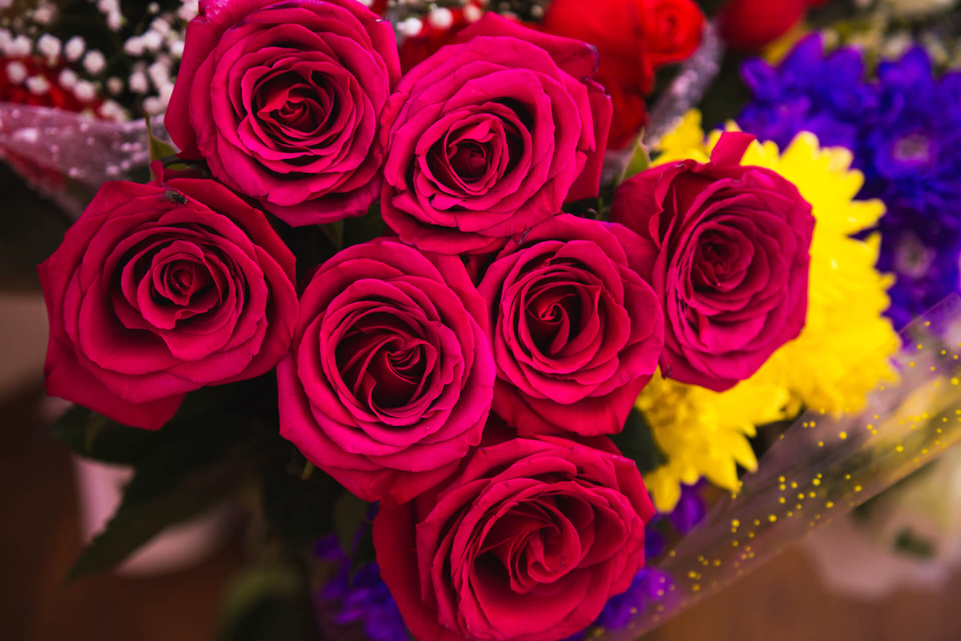 Article Tgclriia 1576723603186 | Сервис-Бит