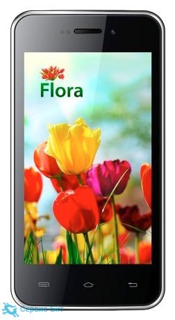 KENEKSI Flora | Сервис-Бит